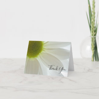 White Daisy Petals Thank You