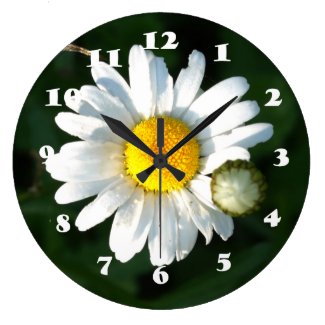 White Daisy photo Wall Clock