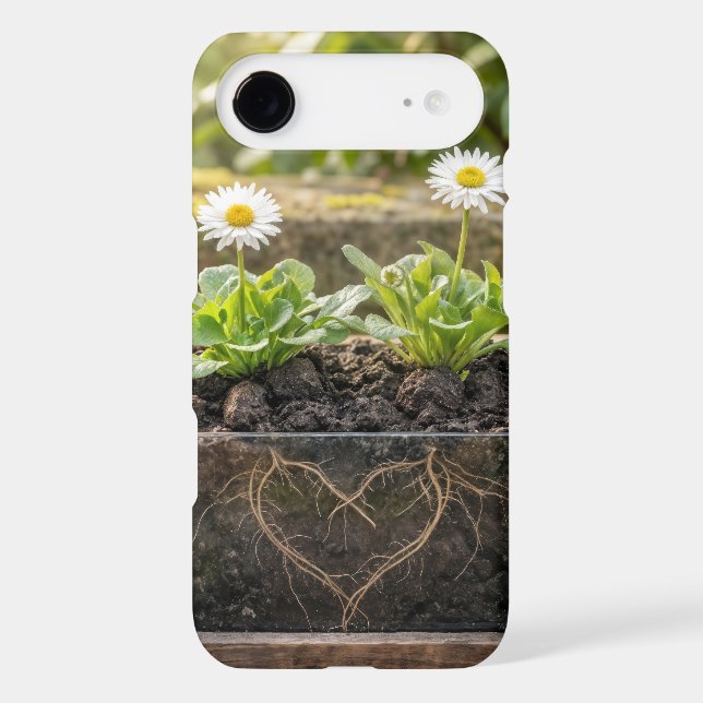 White Daisy Plants In a Flower Box iPhone Case (Back)