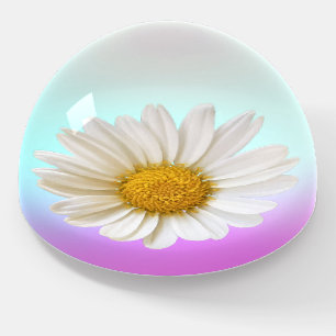 White Daisy Purple and Aqua Ombre Paperweight