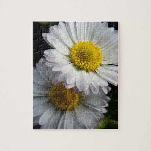 White Daisy Puzzle