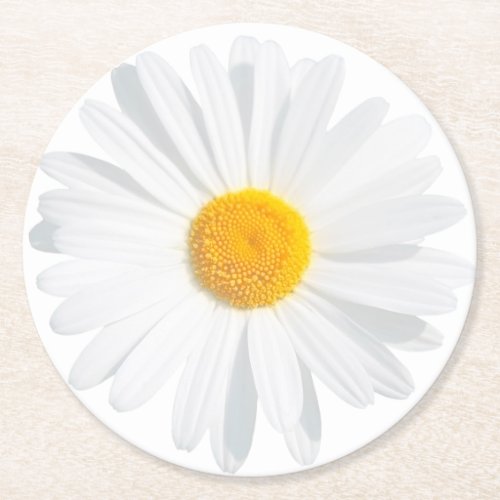 white daisy round paper coaster