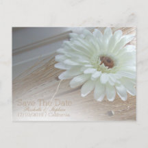 White Daisy Save The Date Wedding Announcements