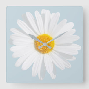 white daisy square wall clock