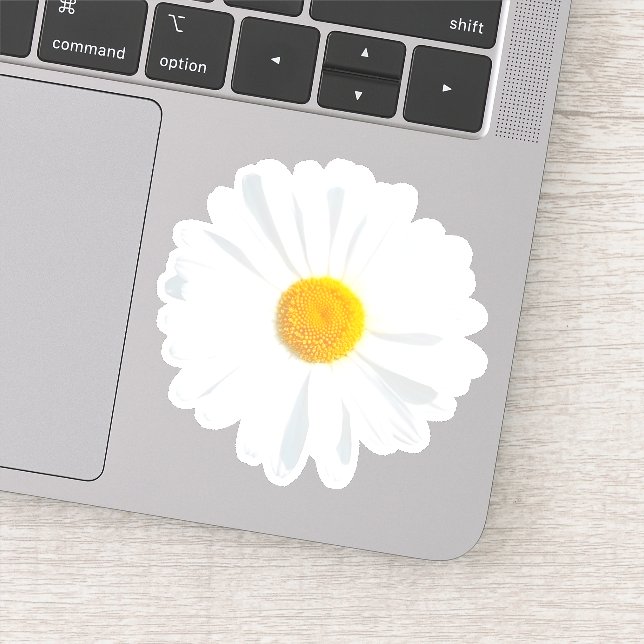 white daisy sticker (Detail)