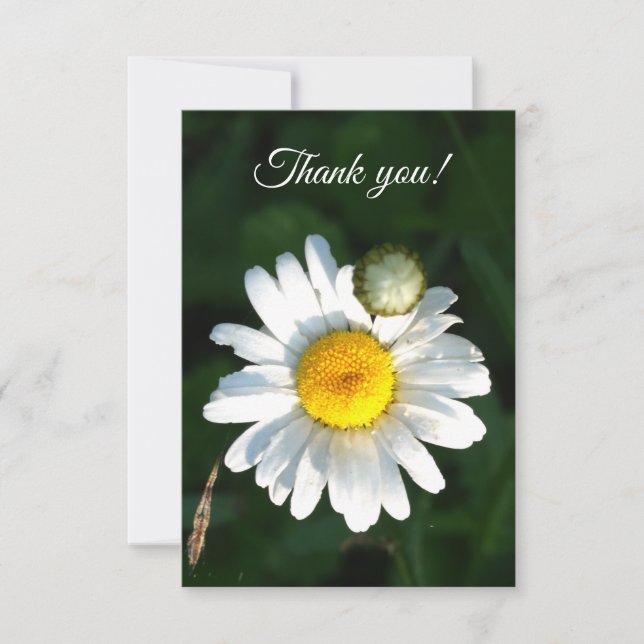 White Daisy Text Thank You Card (Front)