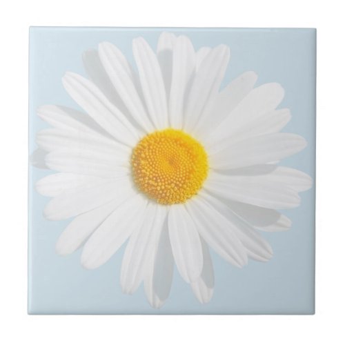 white daisy tile