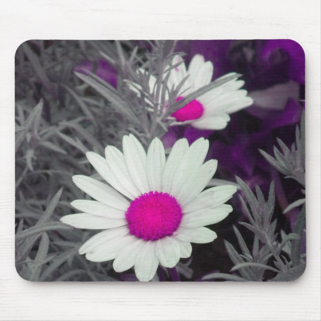 White Daisy (w Pink) mousepad (Front)