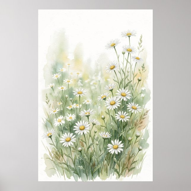 White Daisy Wildflower Watercolor Poster (Front)