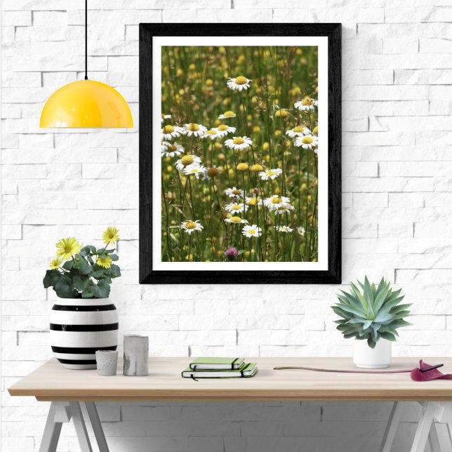 White Daisy Wildflowers Poster (Creator Uploaded)