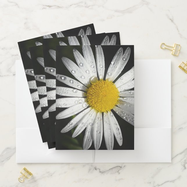 White Daisy with Dew Drops Pocket Folder (In Situ)