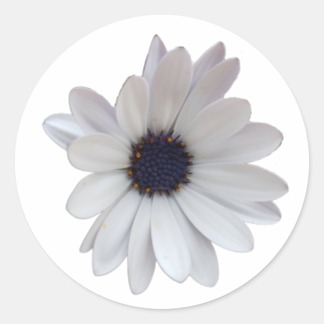 White Daisy with Purple Center Photo Cutout Classic Round Sticker (Front)