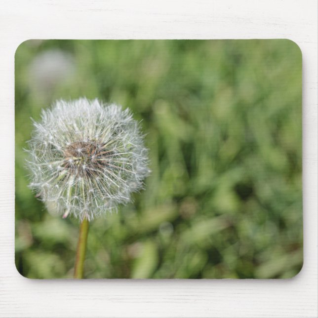 White dandelion flower on green grass mouse pad (Front)
