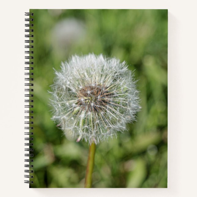 White dandelion flower on green grass notebook (Front)