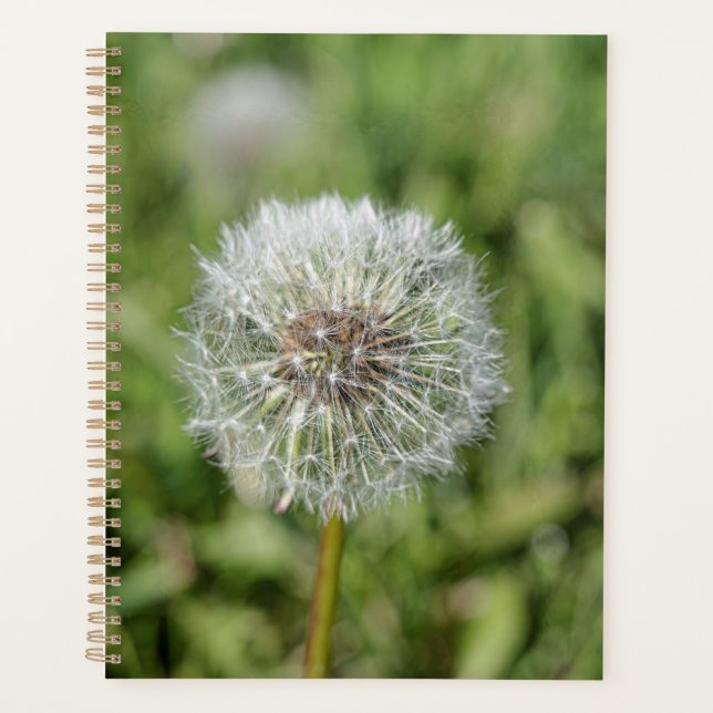 White dandelion flower on green grass planner (Front)