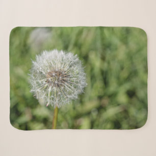 White dandelion flower on green grass sherpa blanket