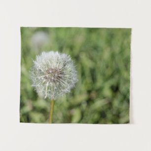 White dandelion flower on green grass tapestry