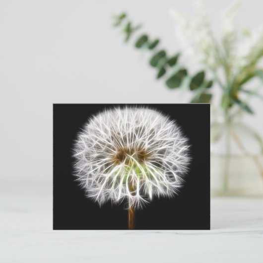White Dandelion Flower Plant (Standing Front)