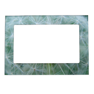 White Dandelion Magnetic Frame