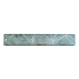 White Dandelion Ruler