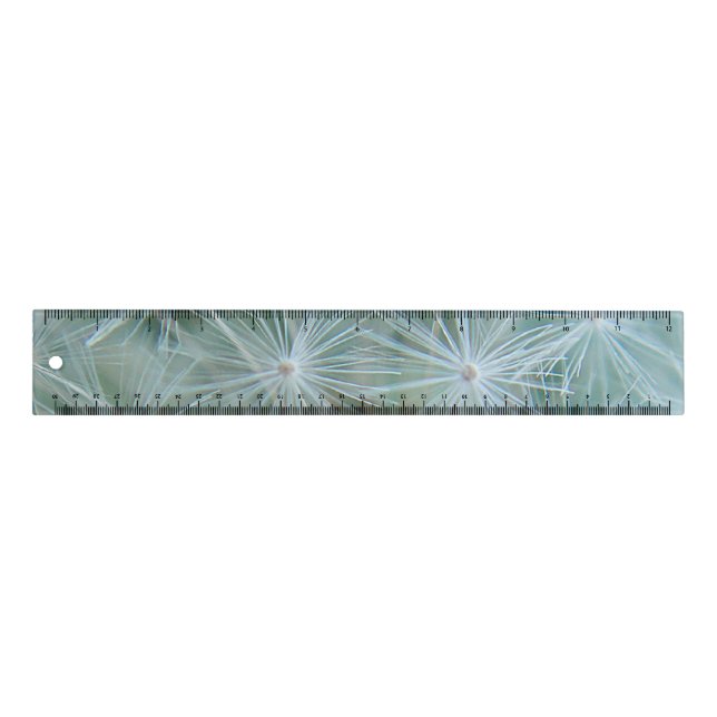 White Dandelion Ruler (Front)