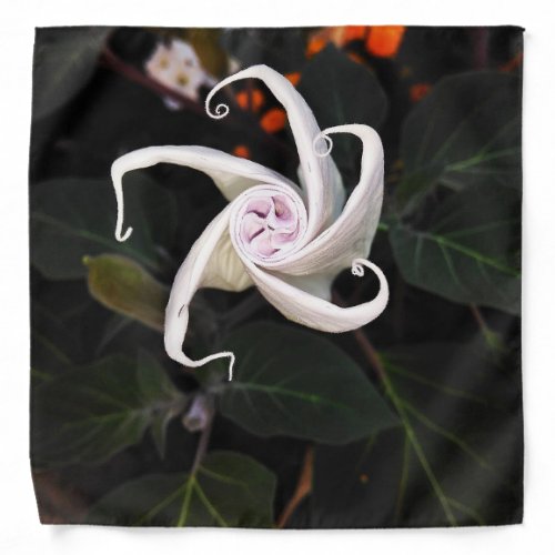 White Datura Flower Bud Bandana