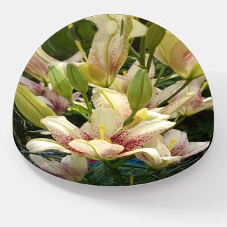 White Daylilies Paperweight