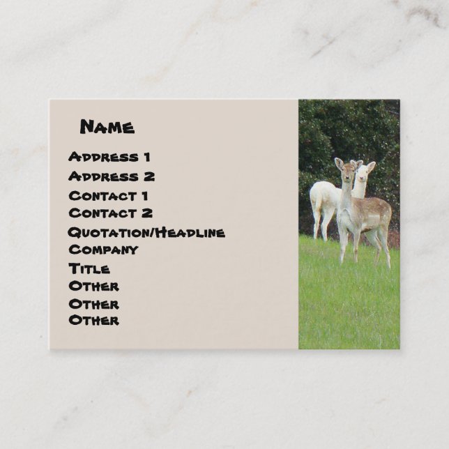 White Deer Business Card (Front)