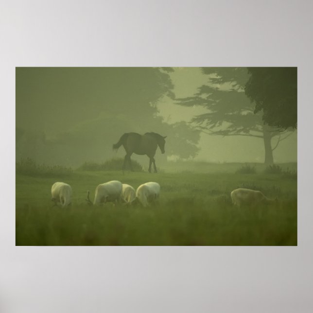 White Deer of Mallow Poster (Front)