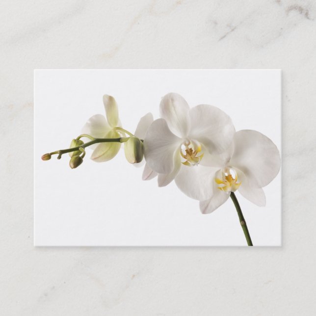 White Dendrobium Orchid Flower Spray Floral Blank Business Card (Front)
