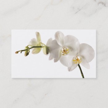 White Dendrobium Orchid Flower Spray Floral Blank Business Card by SilverSpiral at Zazzle