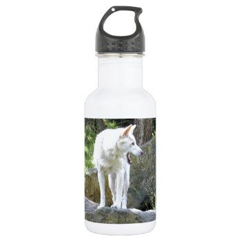 White Dingo Water Bottle by thecoveredbridge at Zazzle