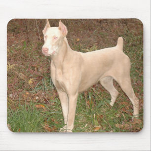 white doberman mouse pad