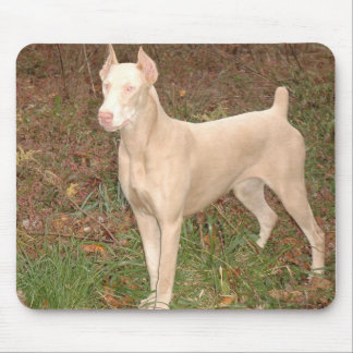 white doberman mouse pad