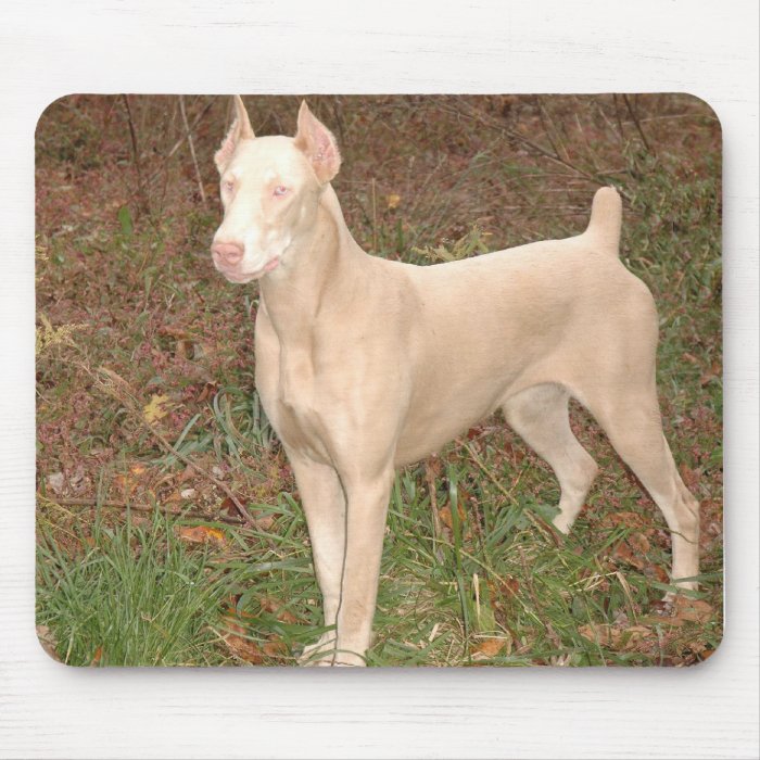 white doberman mouse pads