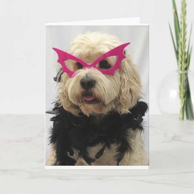 white dog,costume, funny,humor,glasses on dog, card (Front)