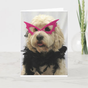 white dog,costume, funny,humor,glasses on dog, card