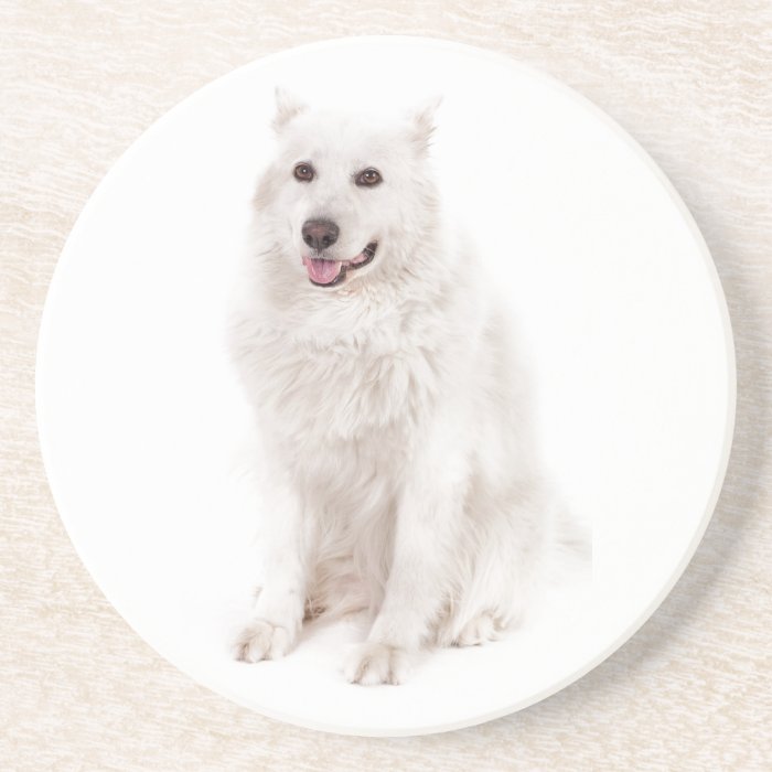 WHITE DOG DIGITAL REALISM PETS HAPPY LOGO CAUSES A DRINK COASTER