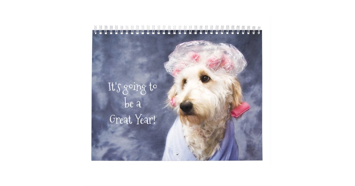 White Dog Funny Calendar Golden Doodle | Zazzle