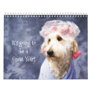 White Dog Funny Calendar Golden Doodle