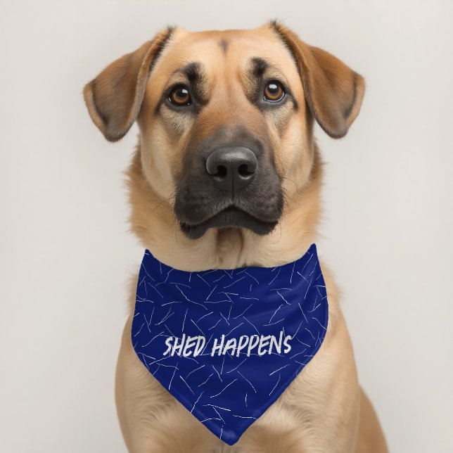 White Dog Hair On Blue Pet Bandana Collar (Dog 2)