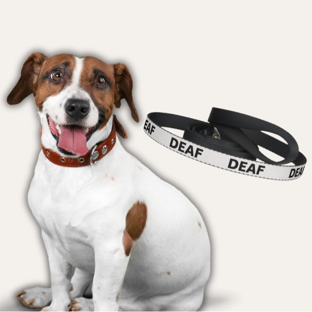 White Dog Leash for Deaf Dog (White Dog Leash for Deaf Dogs)