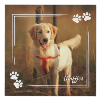 White Dog Paw Print Frame Dog Photo & Name