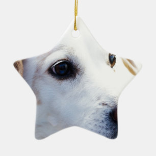 White Dog with Faithful Eyes, Animal Pets Dogs BFF Ceramic Ornament