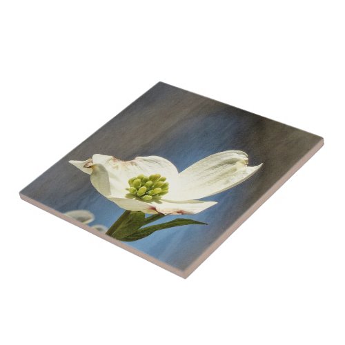 White Dogwood Bloom Ceramic Tile