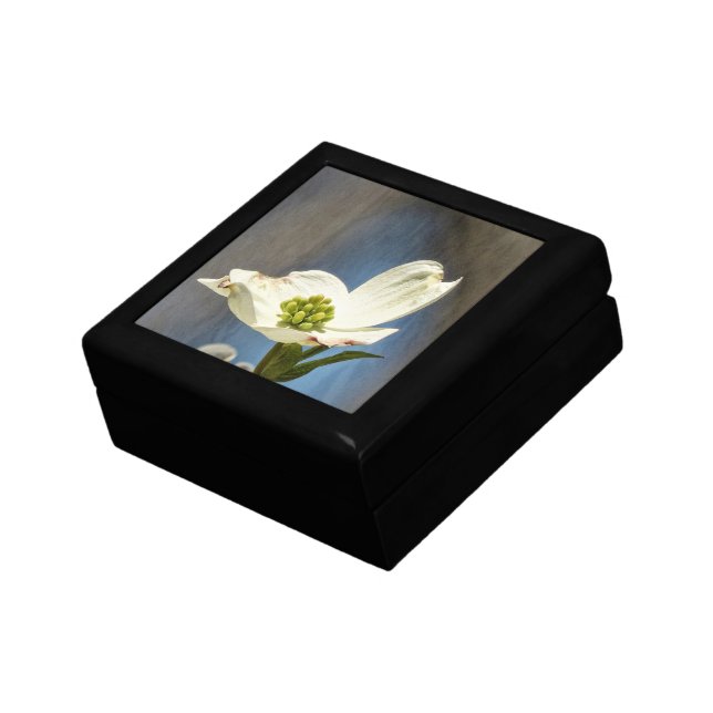White Dogwood Bloom Gift Box (Side)