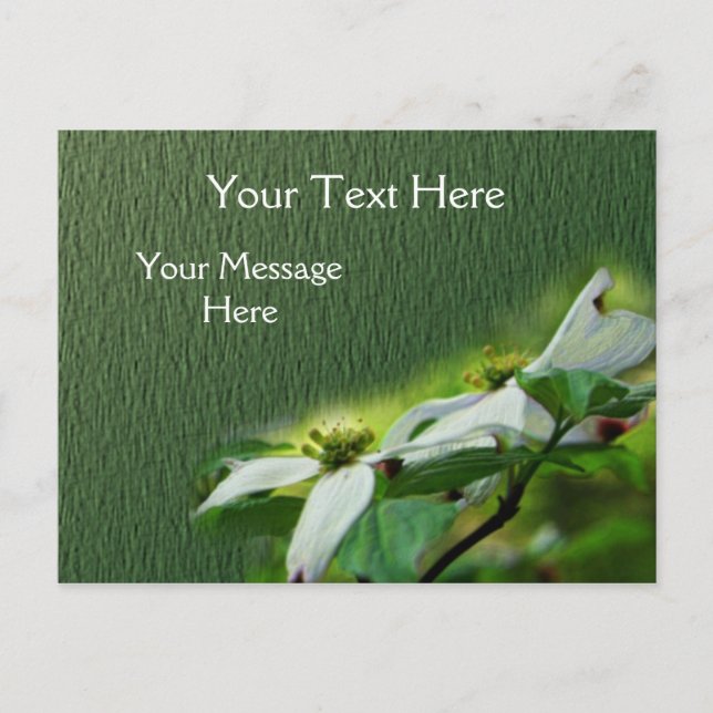 White Dogwood Blossoms Flower Postcard (Front)
