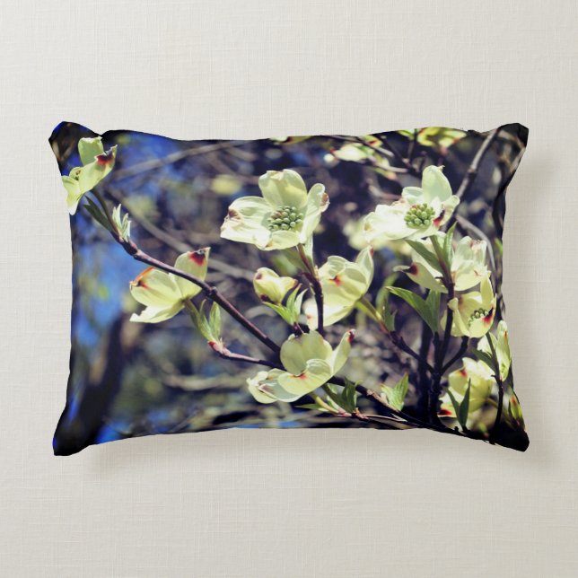 White Dogwood Flower Blossoms   Accent Pillow (Front)