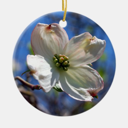 White Dogwood Flower ornament