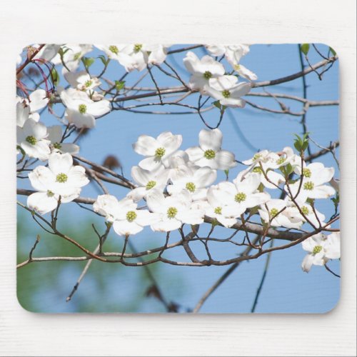 White Dogwood Flowers mousepad